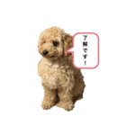 ナナ太郎スタンプ第二弾です。（個別スタンプ：5）