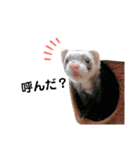 あろにょろvol.1（個別スタンプ：1）