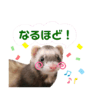 あろにょろvol.1（個別スタンプ：3）
