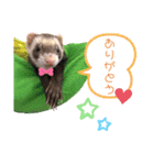 あろにょろvol.1（個別スタンプ：4）