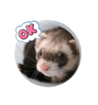 あろにょろvol.1（個別スタンプ：10）