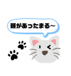 ギャグ好きねこさん！（個別スタンプ：3）