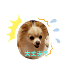 LUNA＆SEAたちのつぶやき！！（個別スタンプ：3）