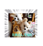 LUNA＆SEAたちのつぶやき！！（個別スタンプ：5）