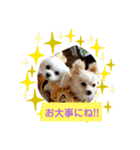 LUNA＆SEAたちのつぶやき！！（個別スタンプ：6）