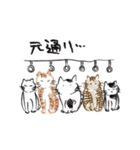 新しい生活様式で暮らす猫 7（個別スタンプ：38）