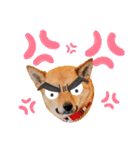 ぶちカンハルコ（個別スタンプ：15）