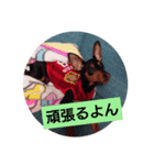 rinhappyhappyhappydays（個別スタンプ：2）