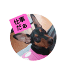 rinhappyhappyhappydays（個別スタンプ：4）