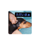 rinhappyhappyhappydays（個別スタンプ：8）