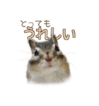 シマリス モカちゃん 2（個別スタンプ：8）