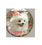 Iigamachi-minagi-s（個別スタンプ：1）