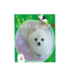 Iigamachi-minagi-s（個別スタンプ：2）