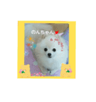 Iigamachi-minagi-s（個別スタンプ：3）