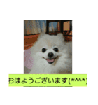 Iigamachi-minagi-s（個別スタンプ：5）