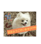 Iigamachi-minagi-s（個別スタンプ：6）