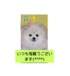 Iigamachi-minagi-s（個別スタンプ：7）