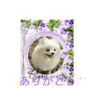 Iigamachi-minagi-s（個別スタンプ：8）