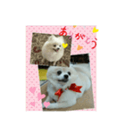 Iigamachi-minagi-s（個別スタンプ：9）