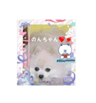 Iigamachi-minagi-s（個別スタンプ：11）