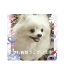 Iigamachi-minagi-s（個別スタンプ：13）