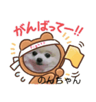 Iigamachi-minagi-s（個別スタンプ：18）