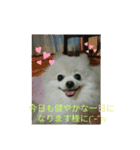 Iigamachi-minagi-s（個別スタンプ：27）
