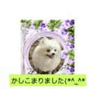 Iigamachi-minagi-s（個別スタンプ：30）
