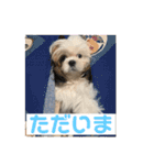 s.s.saja（個別スタンプ：3）