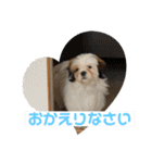 s.s.saja（個別スタンプ：4）