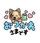 s.s.saja（個別スタンプ：20）
