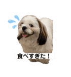 s.s.saja（個別スタンプ：26）