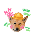 ぶちカンハルコ 2（個別スタンプ：3）