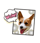 ぶちカンハルコ 2（個別スタンプ：12）