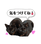 我が家の毎日のスタンプvol.3（個別スタンプ：7）
