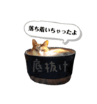 我が家の毎日のスタンプvol.3（個別スタンプ：22）