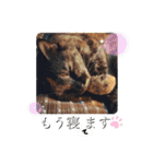 我が家の毎日のスタンプvol.3（個別スタンプ：24）