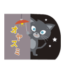 猫好きさんのカラフルスタンプ（くろねこ）（個別スタンプ：5）