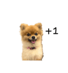 ミミちゃんの日記（個別スタンプ：4）
