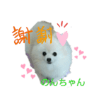 Igamachi-minagi-c（個別スタンプ：1）