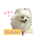 Igamachi-minagi-c（個別スタンプ：2）