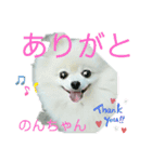 Igamachi-minagi-c（個別スタンプ：5）
