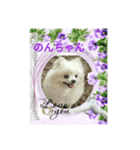 Igamachi-minagi-c（個別スタンプ：6）