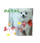 Igamachi-minagi-c（個別スタンプ：7）