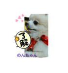 Igamachi-minagi-c（個別スタンプ：10）