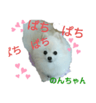 Igamachi-minagi-c（個別スタンプ：12）