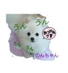 Igamachi-minagi-c（個別スタンプ：13）