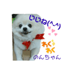 Igamachi-minagi-c（個別スタンプ：14）