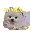 Igamachi-minagi-c（個別スタンプ：16）