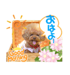 kumatanスタンプ（個別スタンプ：6）